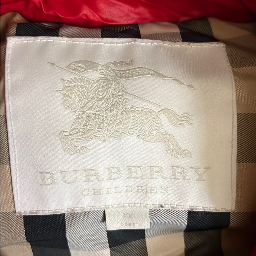butberry kids Coat hat/fur/ both detachable. - Picture 4 of 8